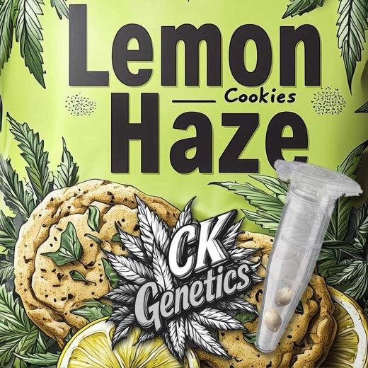 Lemon Cookies Haze Seeds (Regular Photoperiodic Sativa)